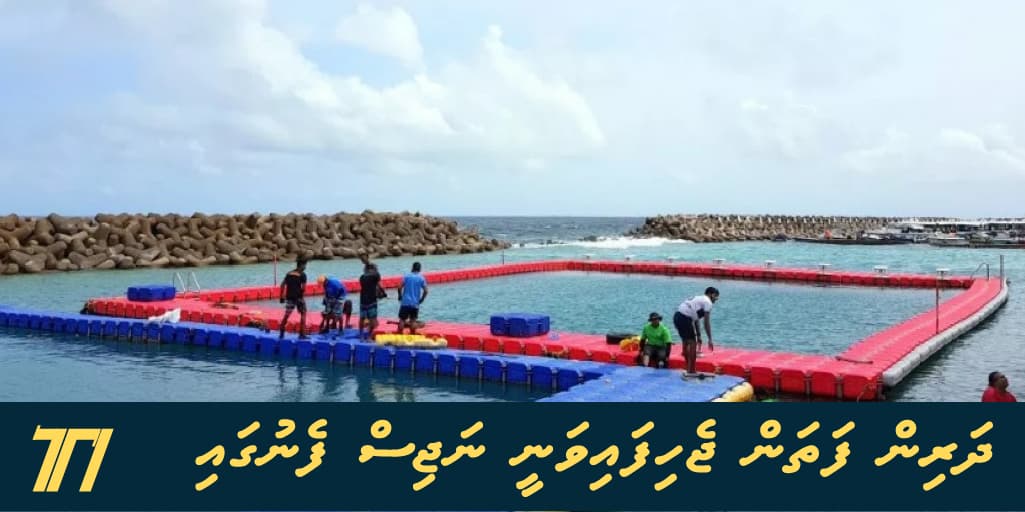 ދަރިން ފަތަން ޖެހެނީ ނަޖިސް ފެނުގައި